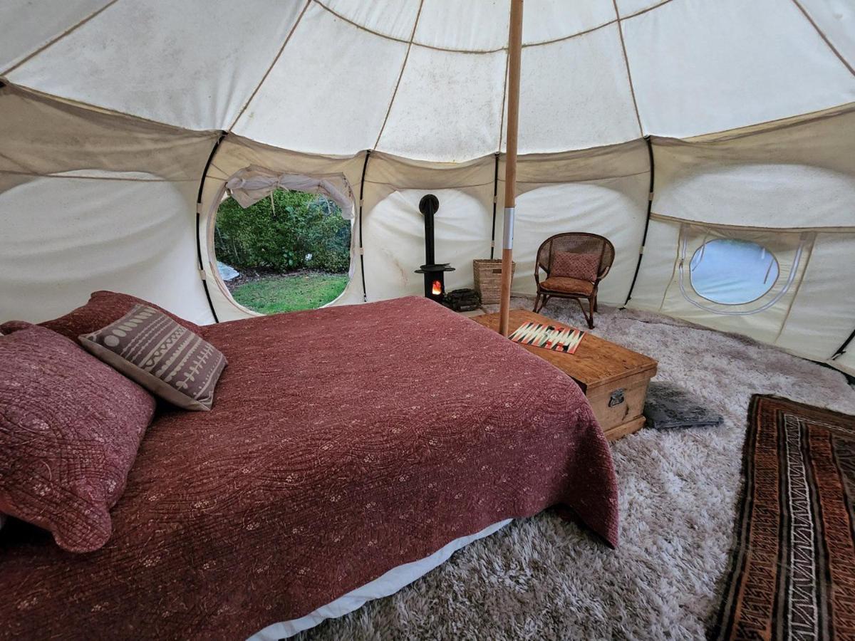 Possum Lodge Manapouri Bagian luar foto
