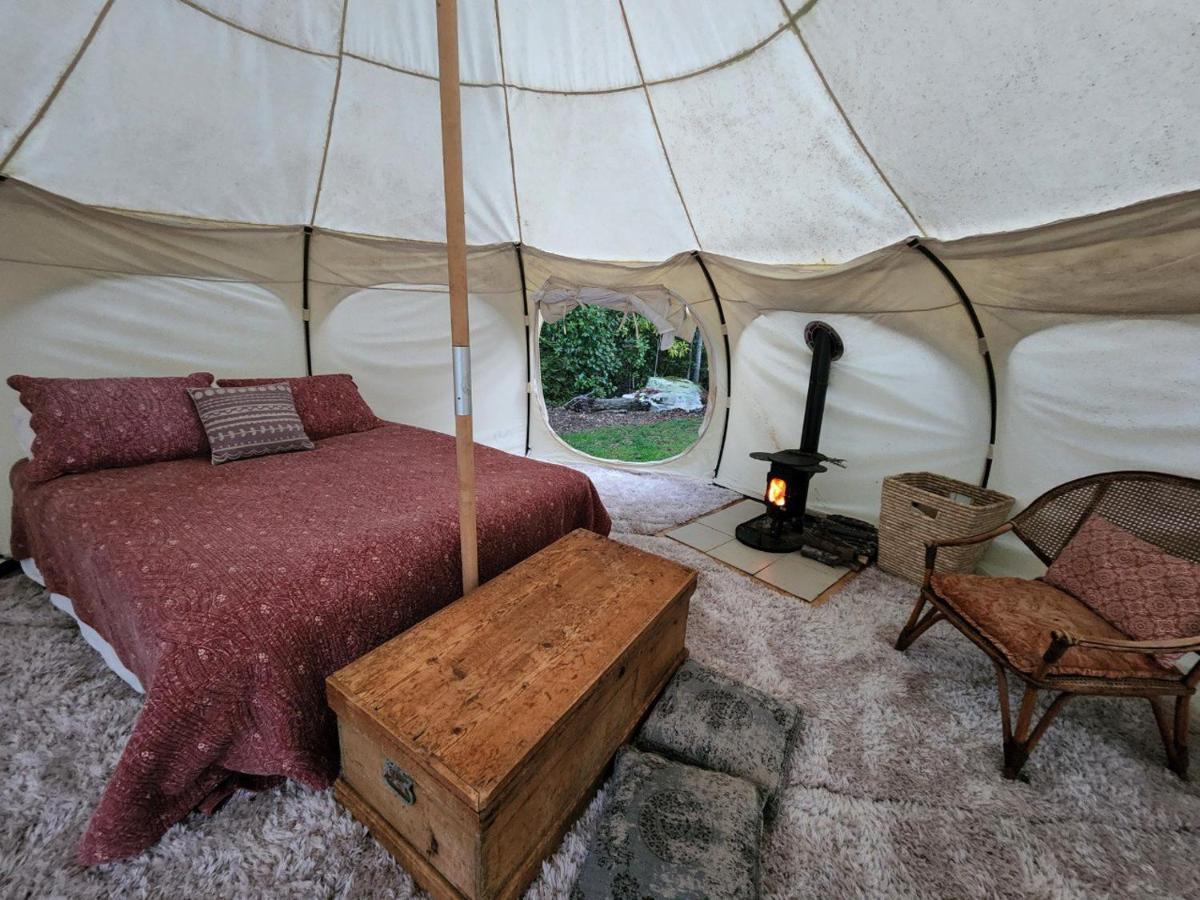 Possum Lodge Manapouri Bagian luar foto