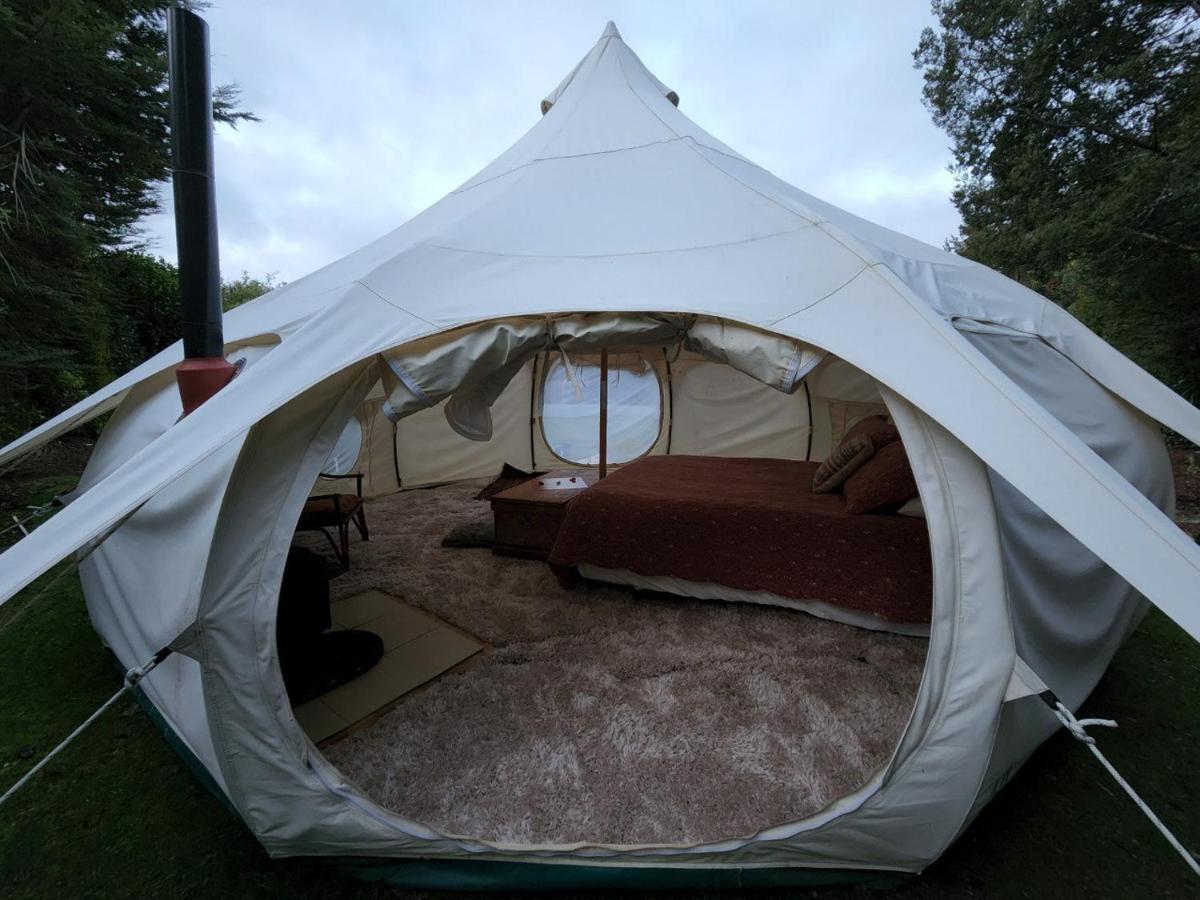 Possum Lodge Manapouri Bagian luar foto